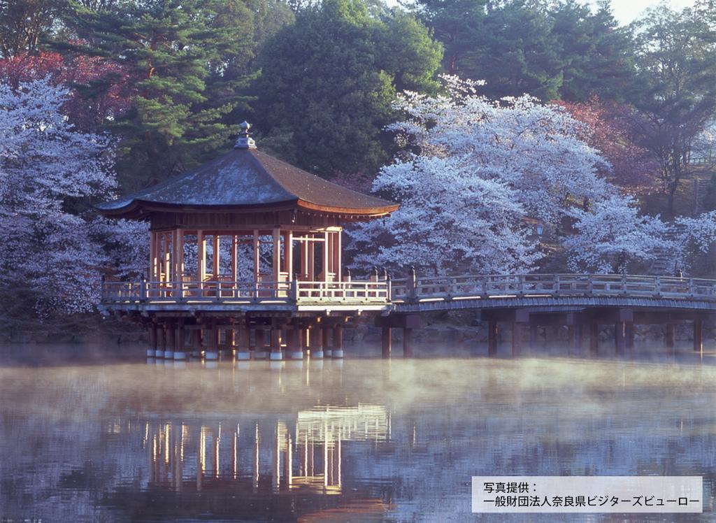 Hotel Pagoda Nara Bagian luar foto